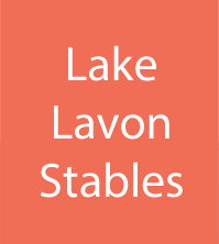 Lake Lavon Stables